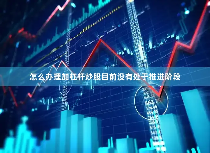 怎么办理加杠杆炒股目前没有处于推进阶段