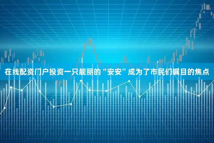 在线配资门户投资一只靓丽的“安安”成为了市民们瞩目的焦点